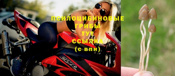 прущие крисы Данков