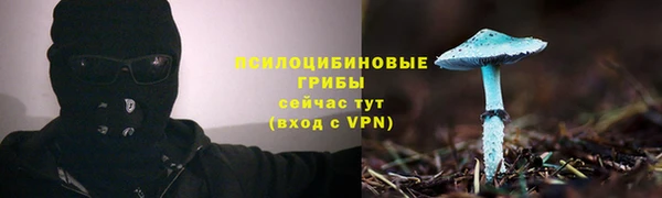 ALPHA-PVP Тында