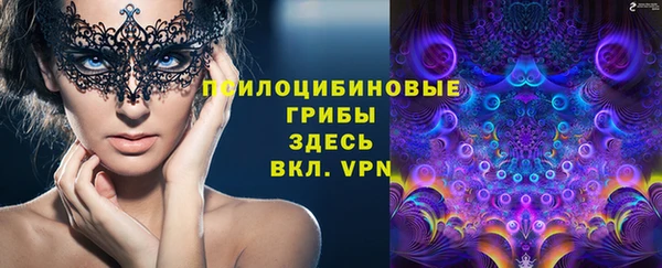 МДПВ Россошь