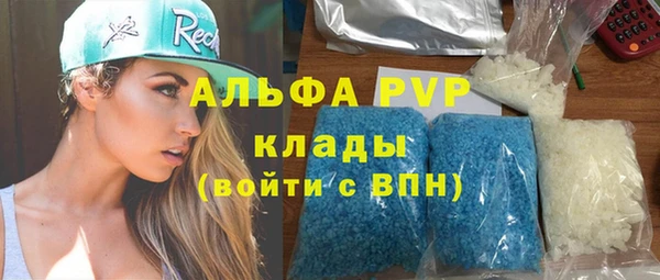 сатива Пролетарск