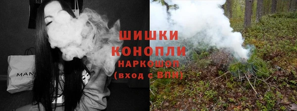 сатива Пролетарск