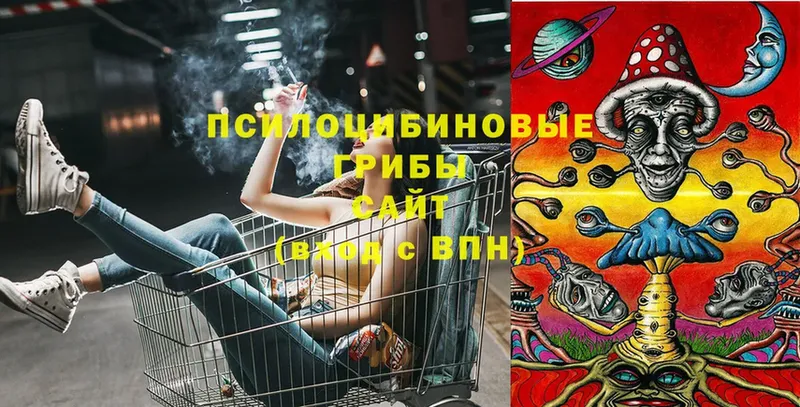 Галлюциногенные грибы Psilocybine cubensis  хочу   Ак-Довурак 